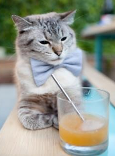 三球加冕夜，当华丽蜕变主宰胜利，篮网已成拉梅洛改朝换代的背景板