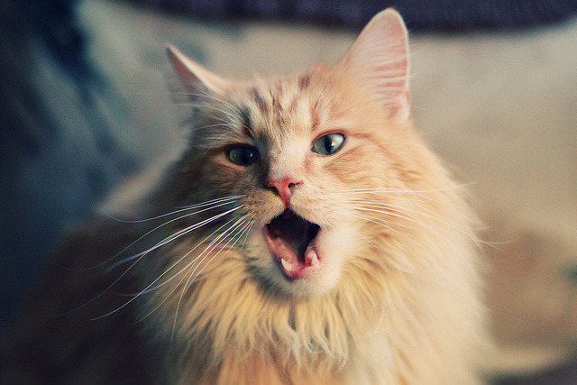 无名门迪一球定乾坤,英超争冠夜,平凡英雄取代豪杰剧本