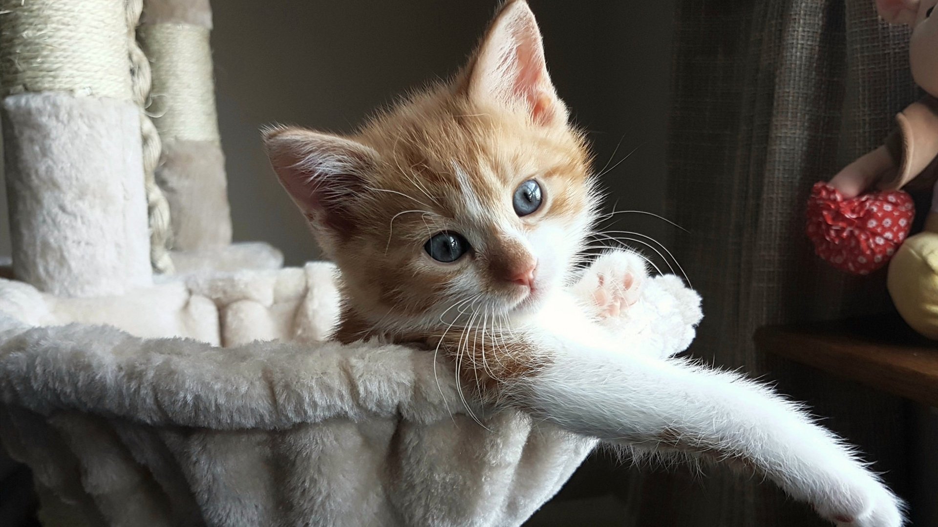 巅峰对决中国力量扬威，胜莱比锡红牛，皮克关键战一剑封喉