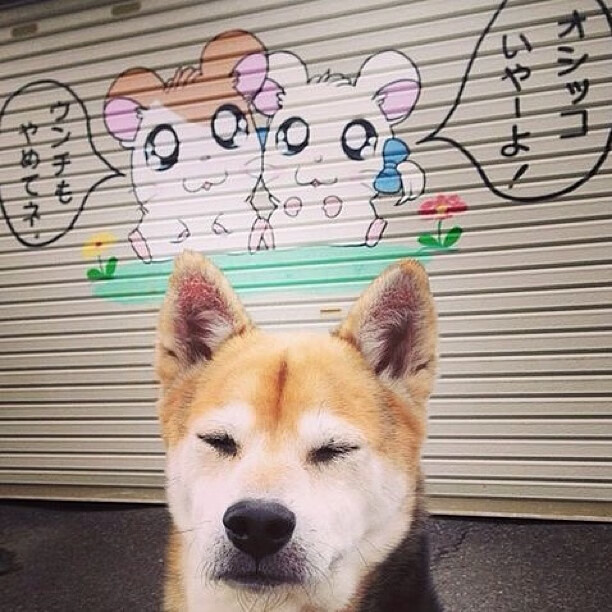 夜沉蓝桥,凯塞多一锤定音—拜仁决胜局从斯坦福桥艰难带走胜利