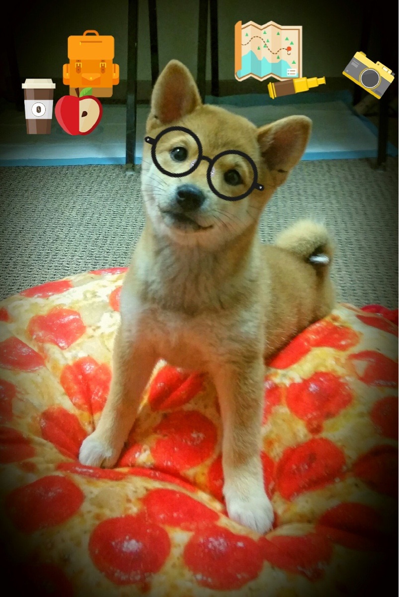 时光裂隙中唯一的绝杀，当切特在两个时代同时面对骑士