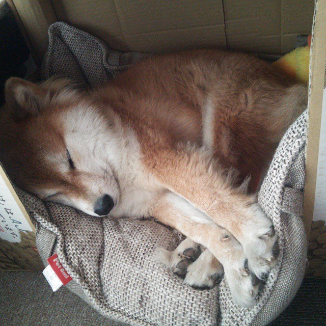 冻结天空与撕裂大地,当字母哥的存在感撞上开拓者的铁血防守