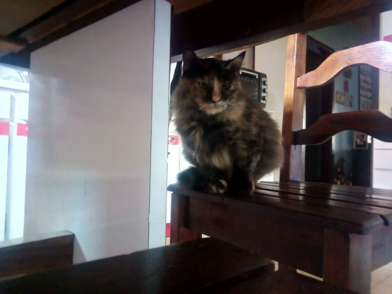 绿茵场上的唯一性，卡塞米罗个人秀与威尔士团队胜利的共鸣