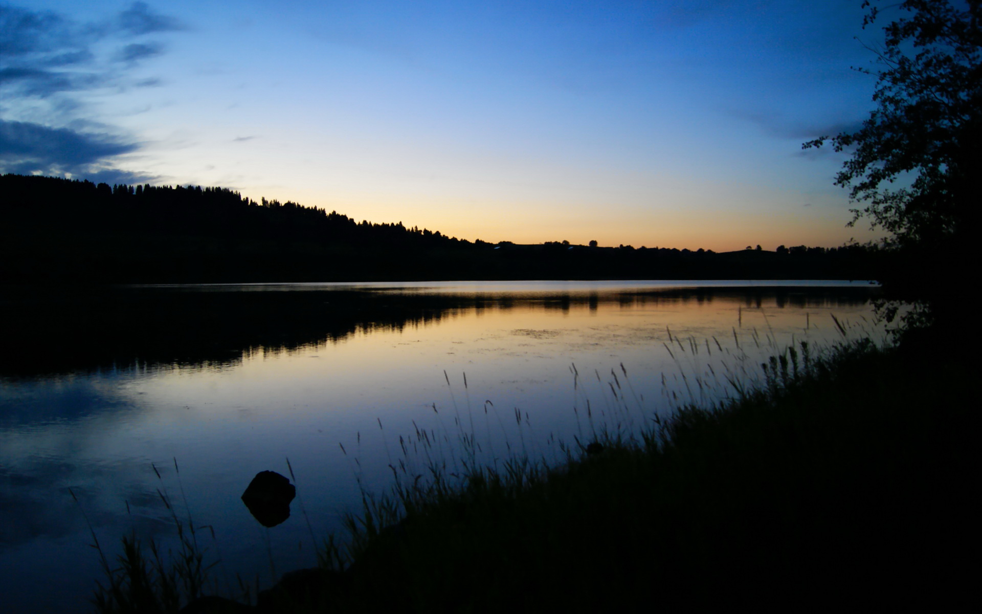 双线战场，当欧冠铁血映照NBA，76人如何以欧冠级执行力粉碎奇才