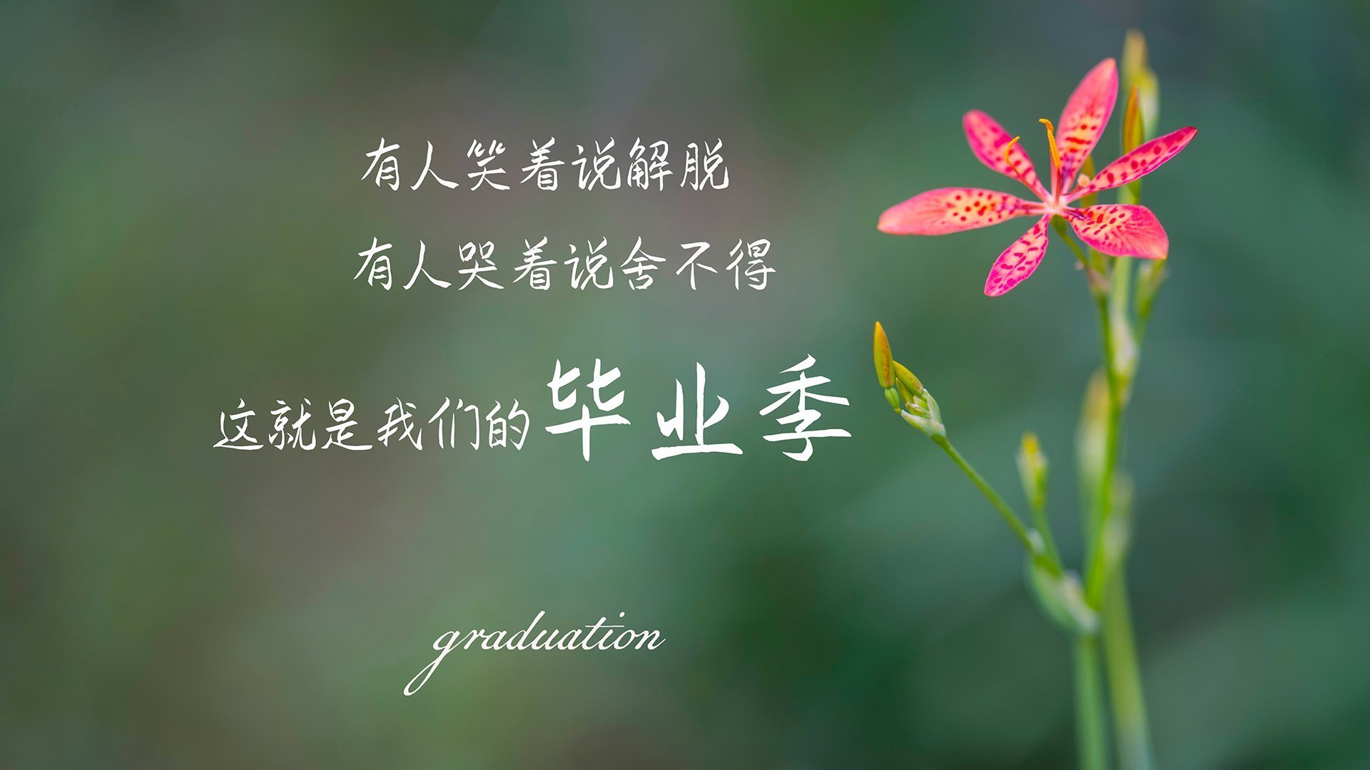 当NBA总决赛遇上CBA奇才，一场跨越太平洋的战术对话