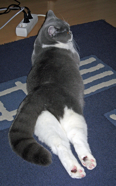 开云体育在线-平行时空的篮球对话，浙江风暴席卷联盟，小贾伦·杰克逊定义硬仗美学