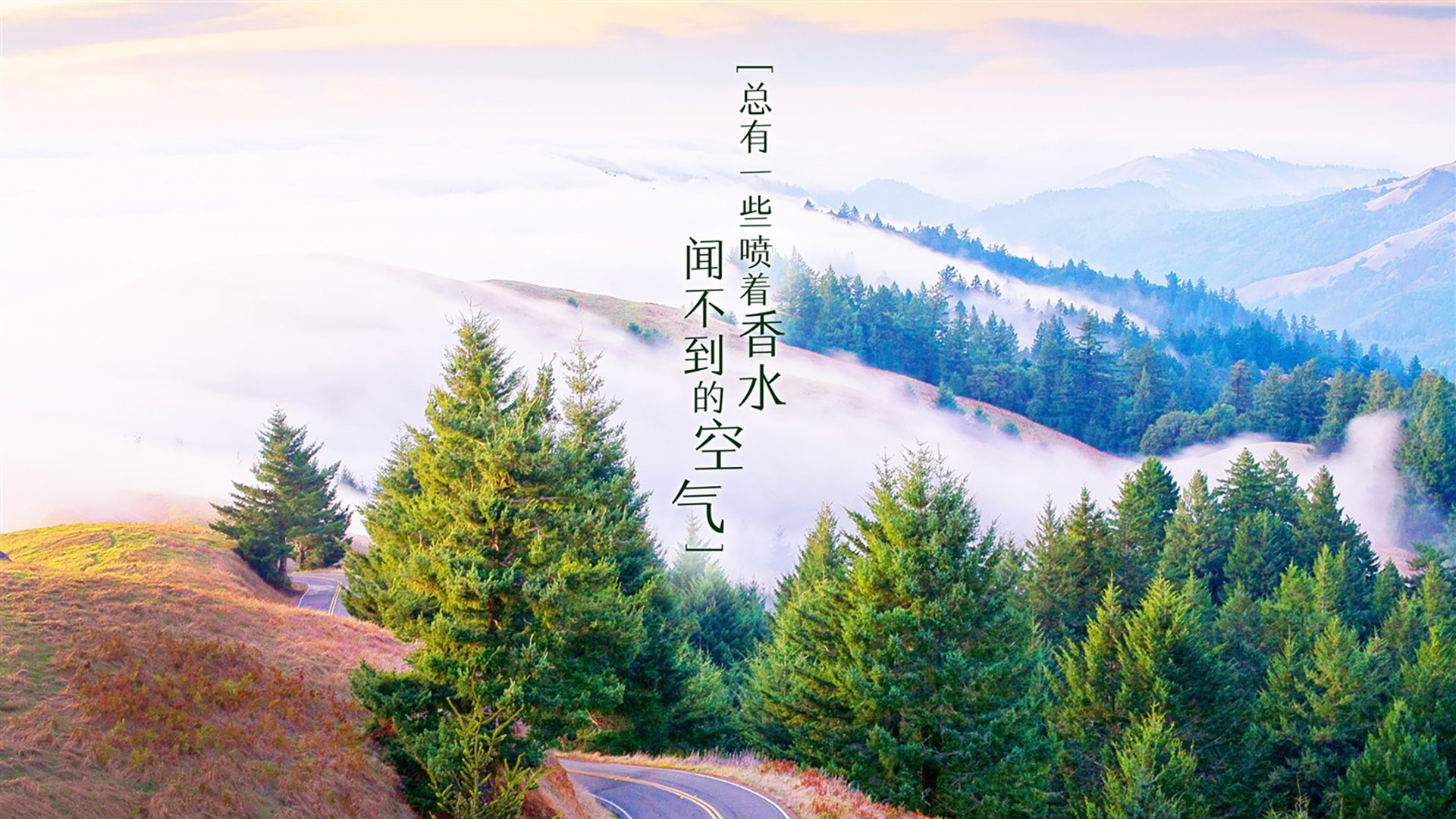 H组唯一的神话,当亚洲之虎撕碎钢筋混凝土