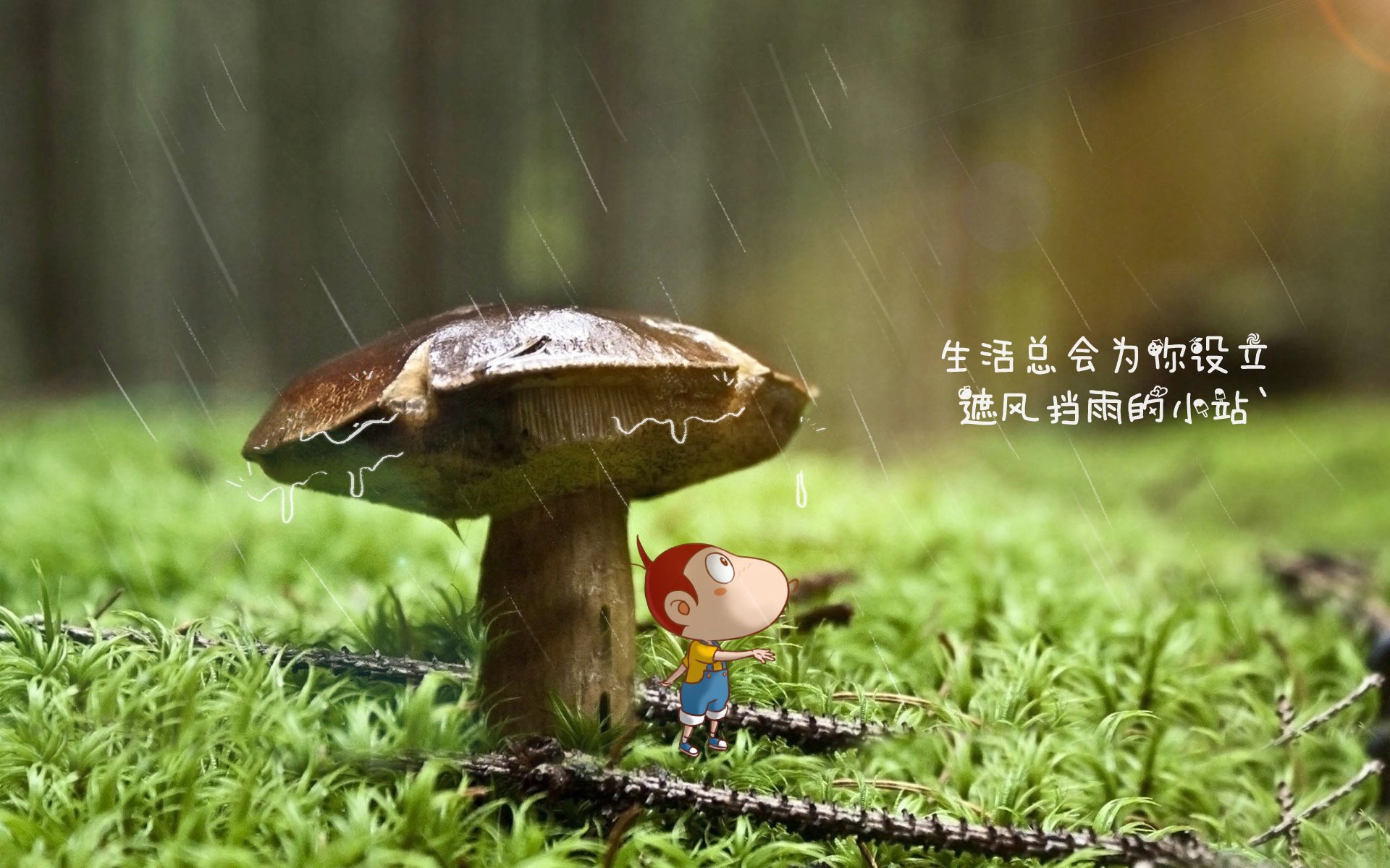 天照大神降临多哈,当三笘薰的左脚,为中亚蓝狐写下世界杯最狂野的草稿